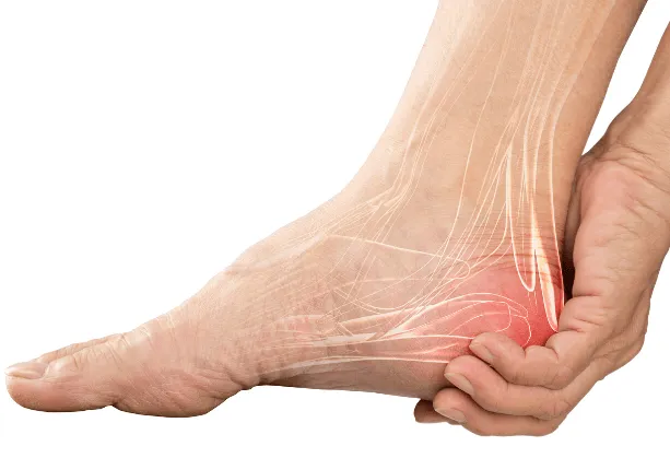 understanding Heel Pain