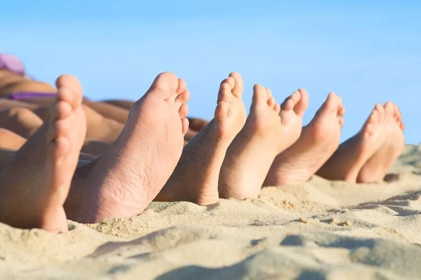 Facts about the foot